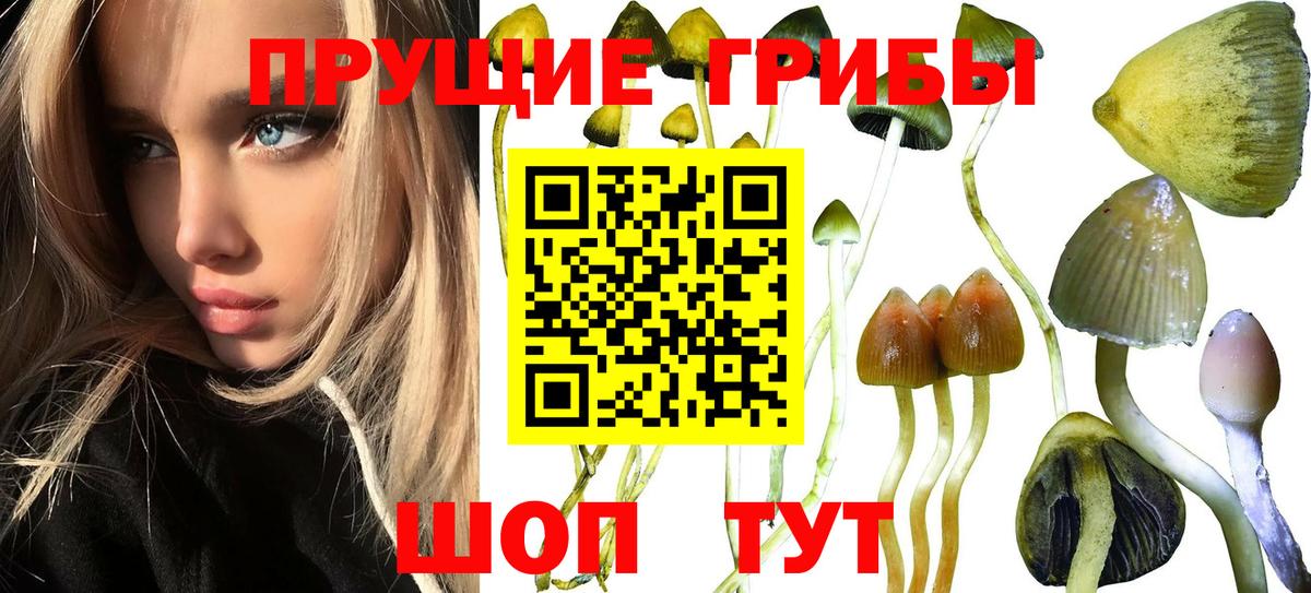 Псилоцибиновые грибы ЛСД Соликамск