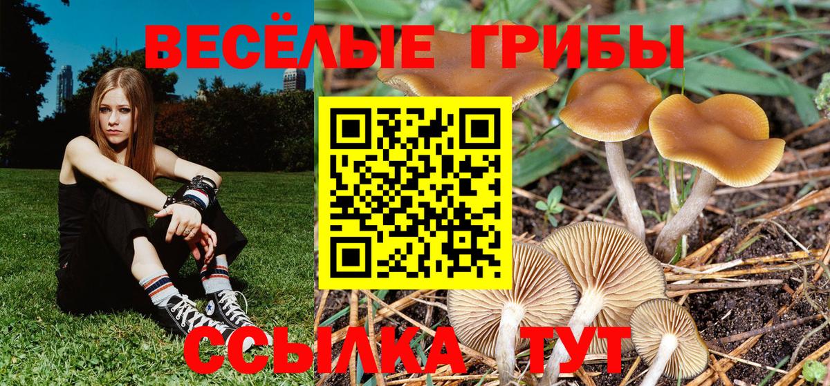 Псилоцибиновые грибы мицелий  Вход с VPN  Соликамск 